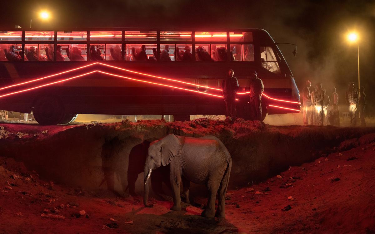 Nick Brandt, color photography elephant and bus, red lights