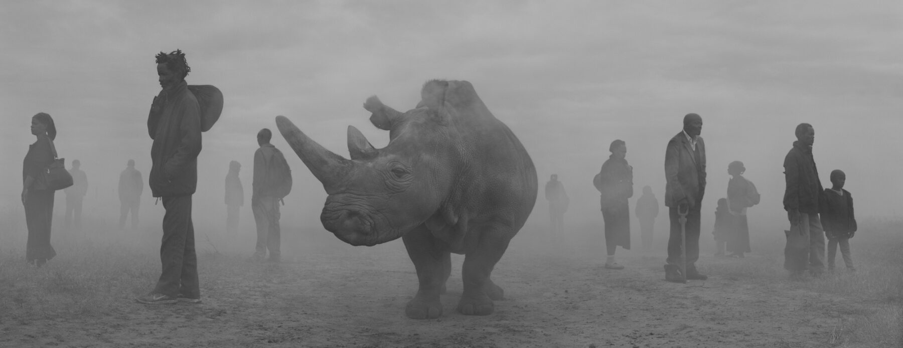 Black and white portrait of people and rhinoceros by Nick Brandt