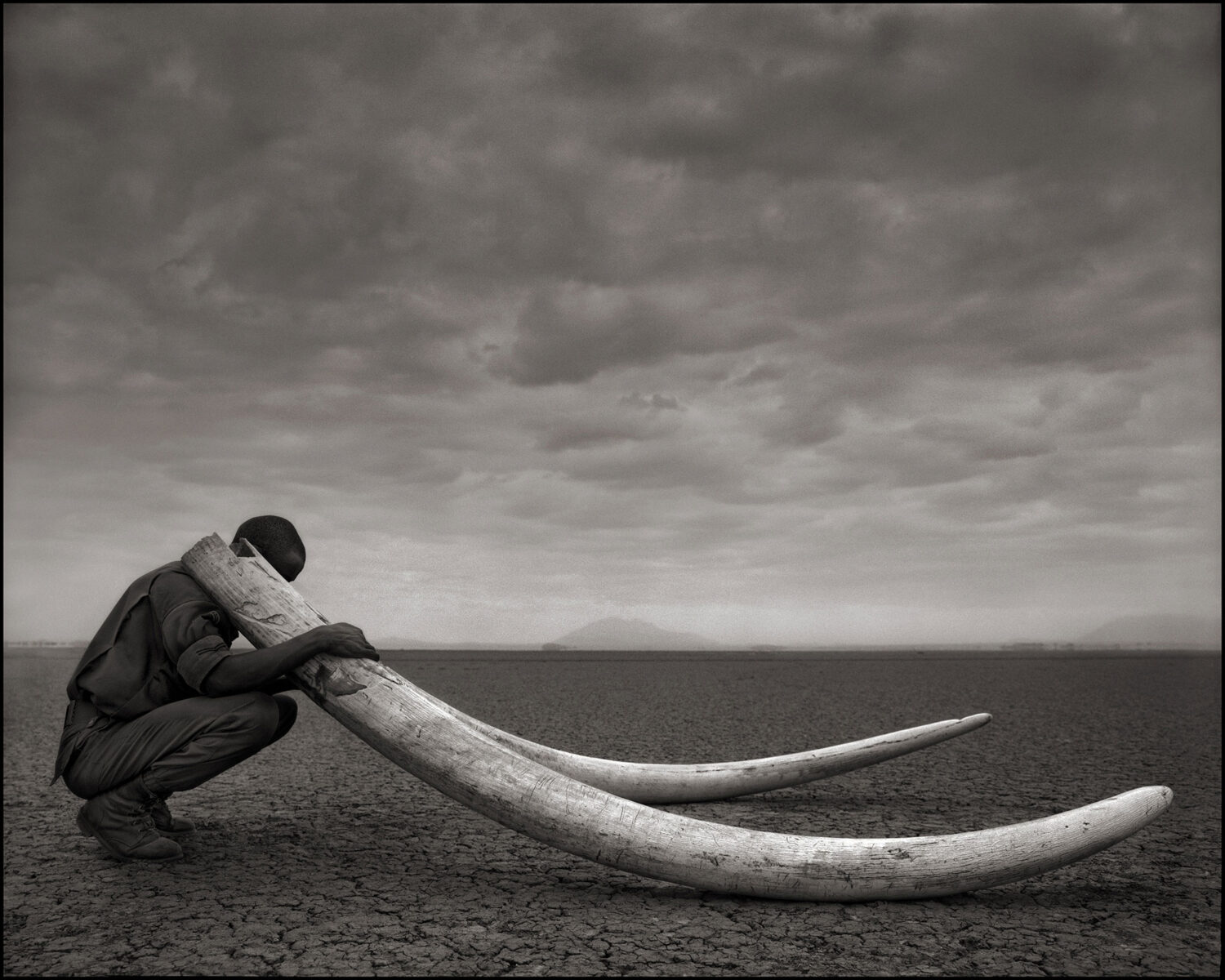 Nick Brandt