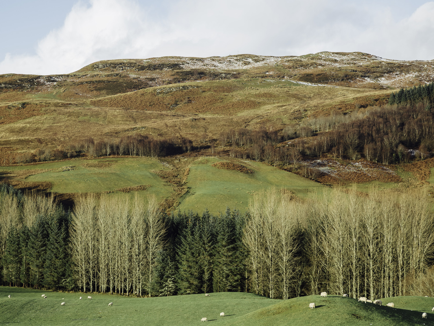 color landscape photo of green hills in Scotland by Samuel Comber