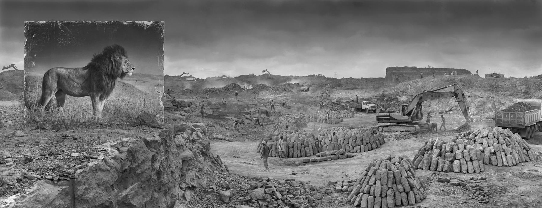 Black and white portrait of lion in quarry by Nick Brandt