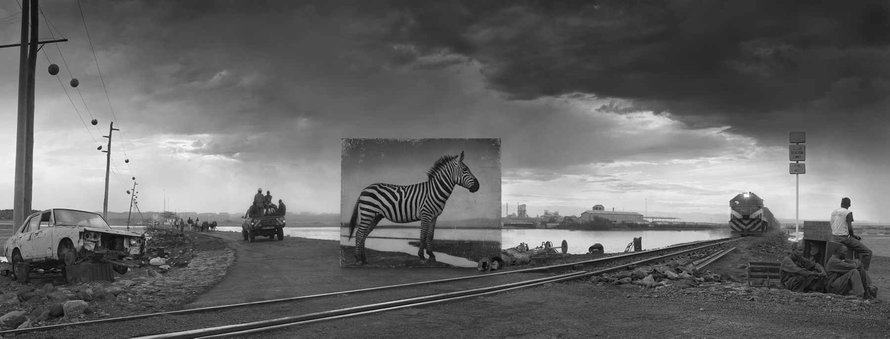 Black and white portrait of zebra in urban environment Nick Brandt