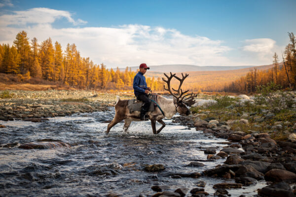 color photo of a young man riding his reindeer in Northern Mongolia by Kelsey Eliot