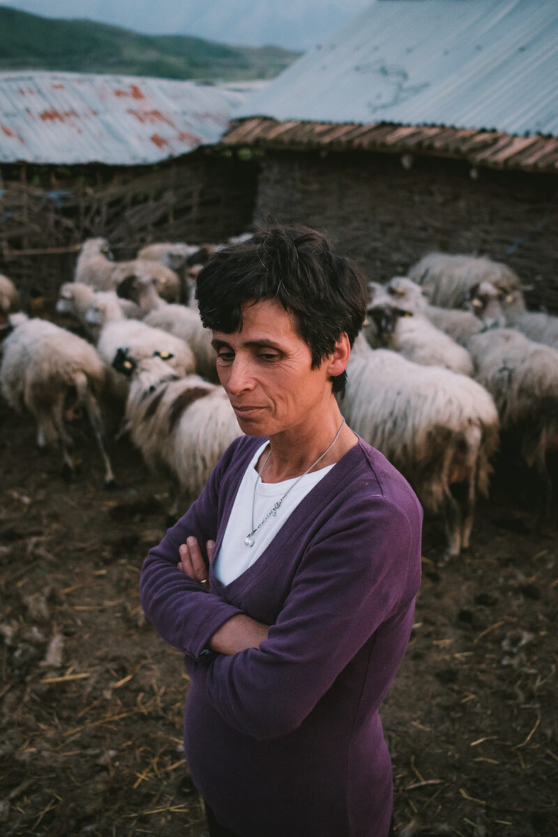 Documentary photography by Nick St. Oegger, portrait of woman and sheep in Albania, from thje series 'Vjosa'