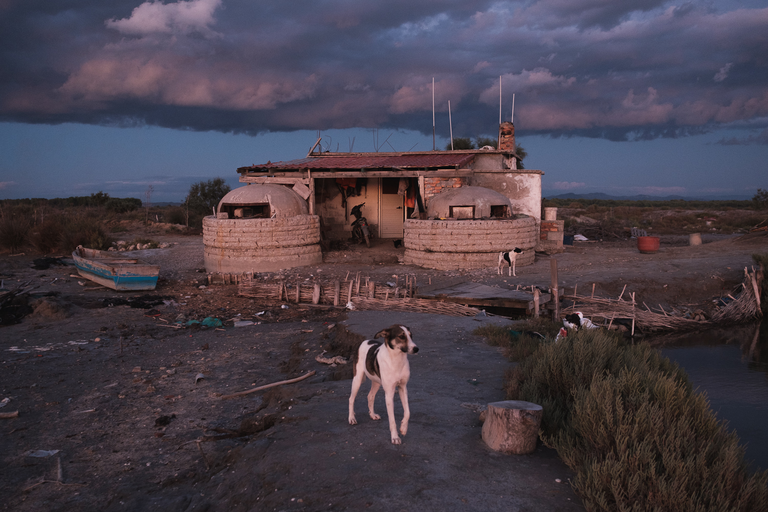 Documentary photography by Nick St. Oegger, dog, communist bunkers, Albania