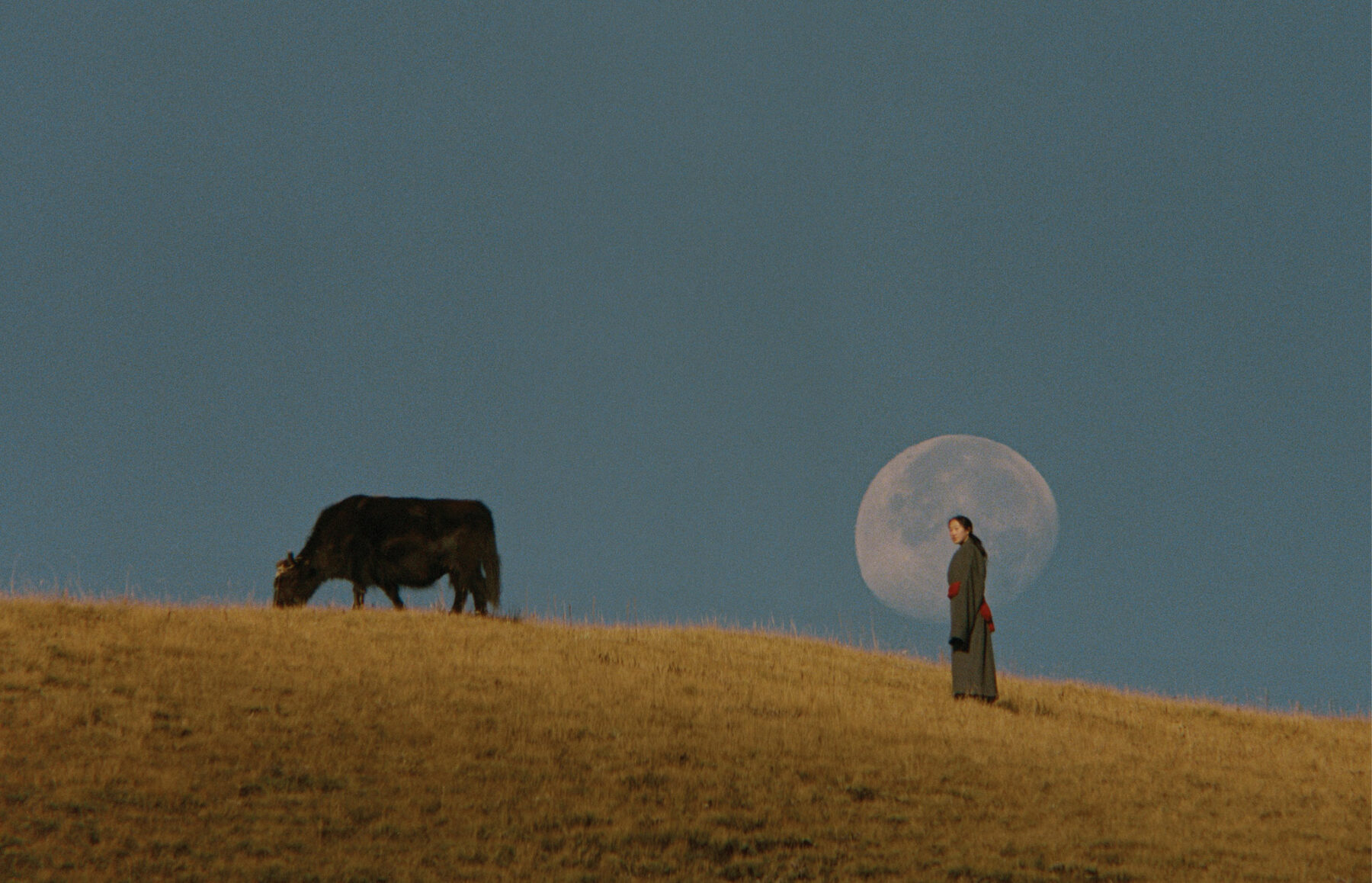 Color photo of a woman in Tibetan landscape by Kin Coedel