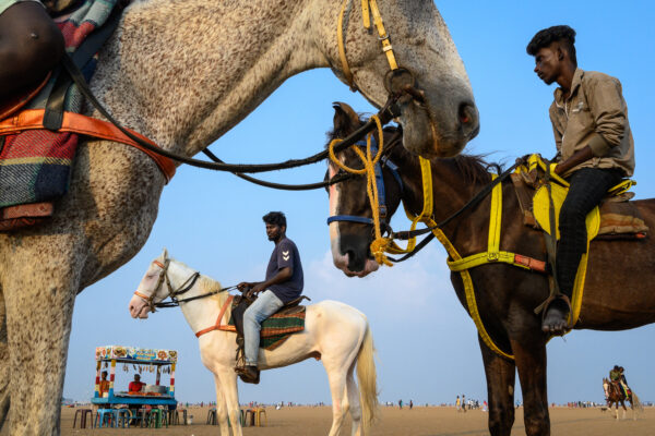 color street photo of people on horses in Chennai, India by David Keith Brown