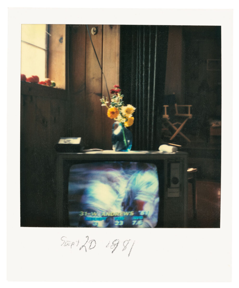 Color photography Ralph Ellison. Polaroid of flowers and tv in a house