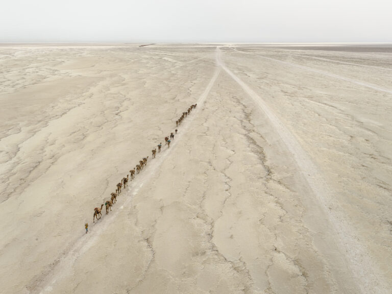 Aerial landscape photography by Edward Burtynsky. Camel Caravan in Ethiopia