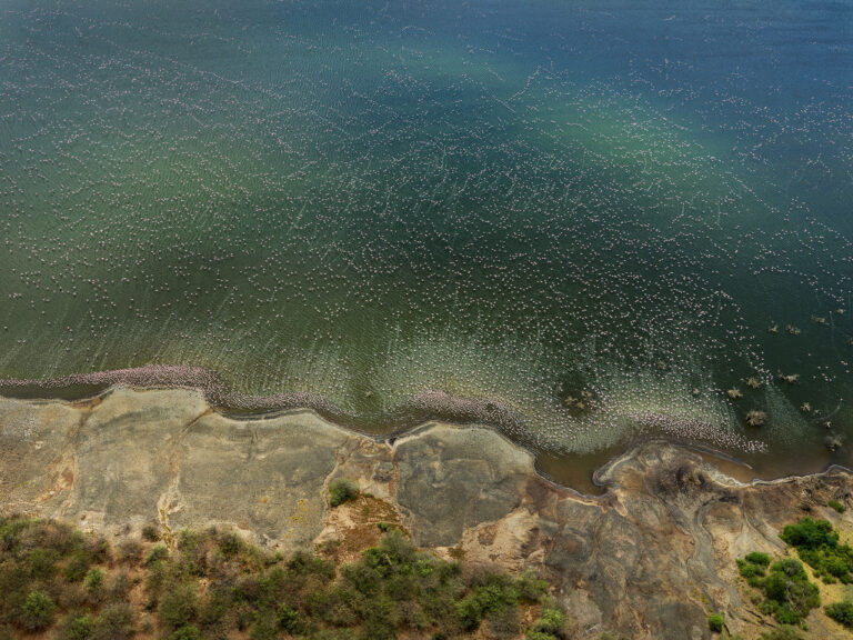 Aerial landscape photography by Edward Burtynsky. Flamingos in Lake Bogoria, Kenya