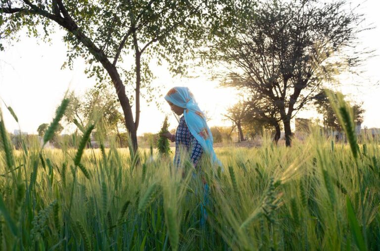 Photo of a woman in tall grass by Jody Macdonald