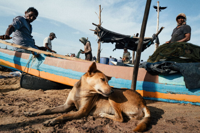 Street photography by Jonathan Jasberg, beach scene, with a dog, two men and a boat