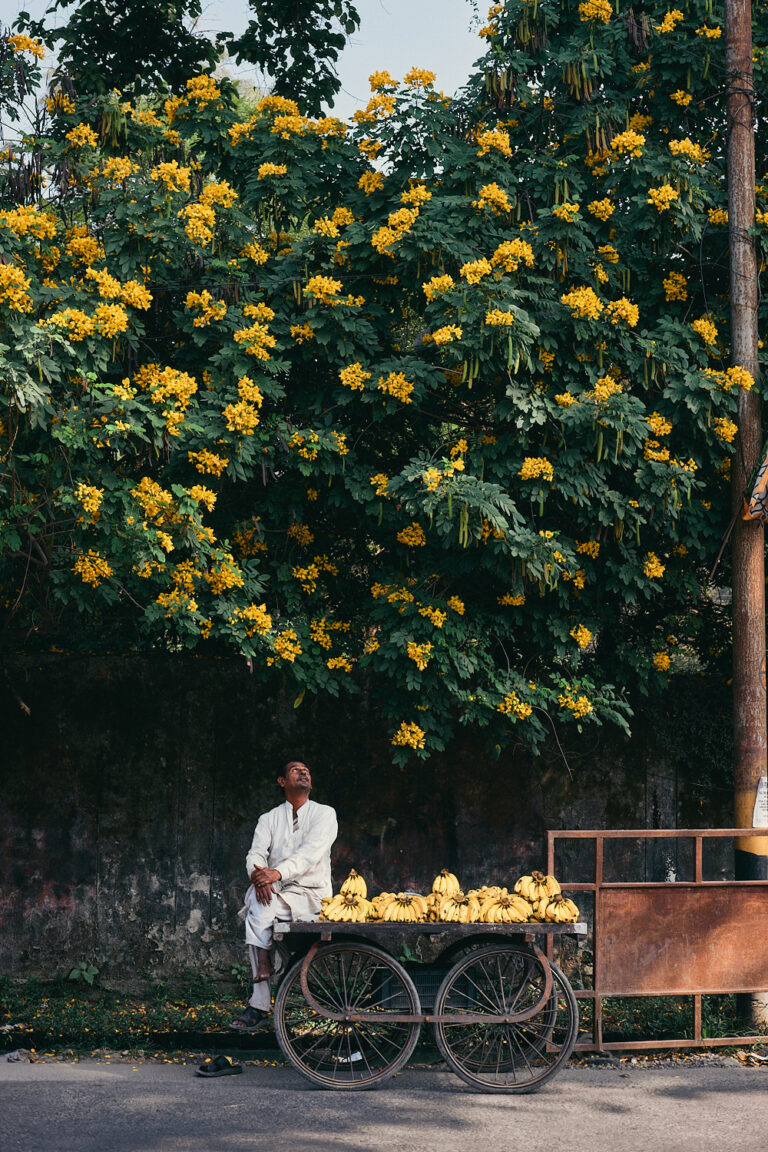 Street photography by Eduardo Ortiz. Street vendor sitting under a tree full of flowers in India