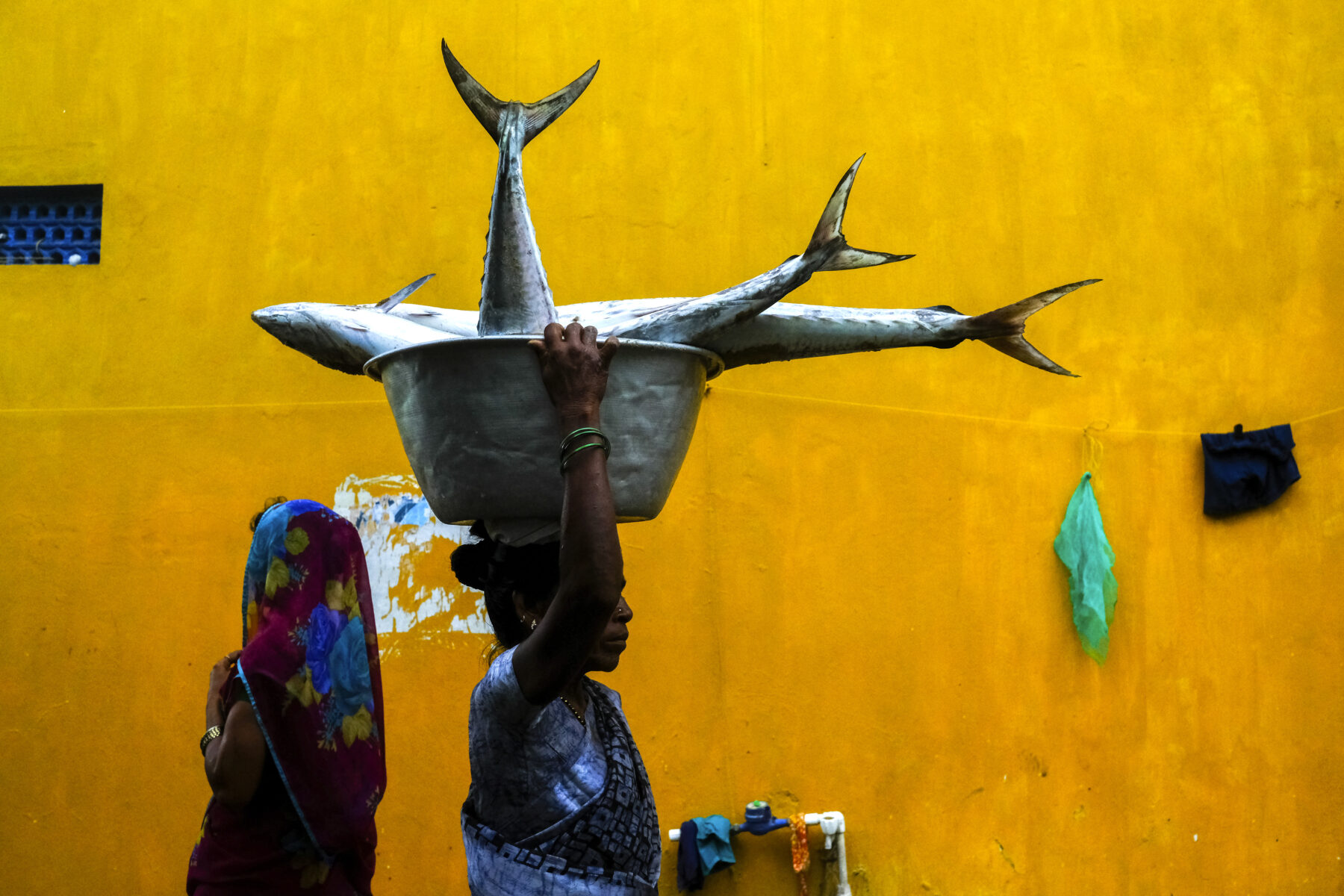 color street photo of woman carrying fish in India by Ananya Das