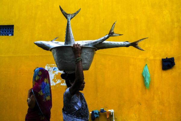 color street photo of woman carrying fish in India by Ananya Das