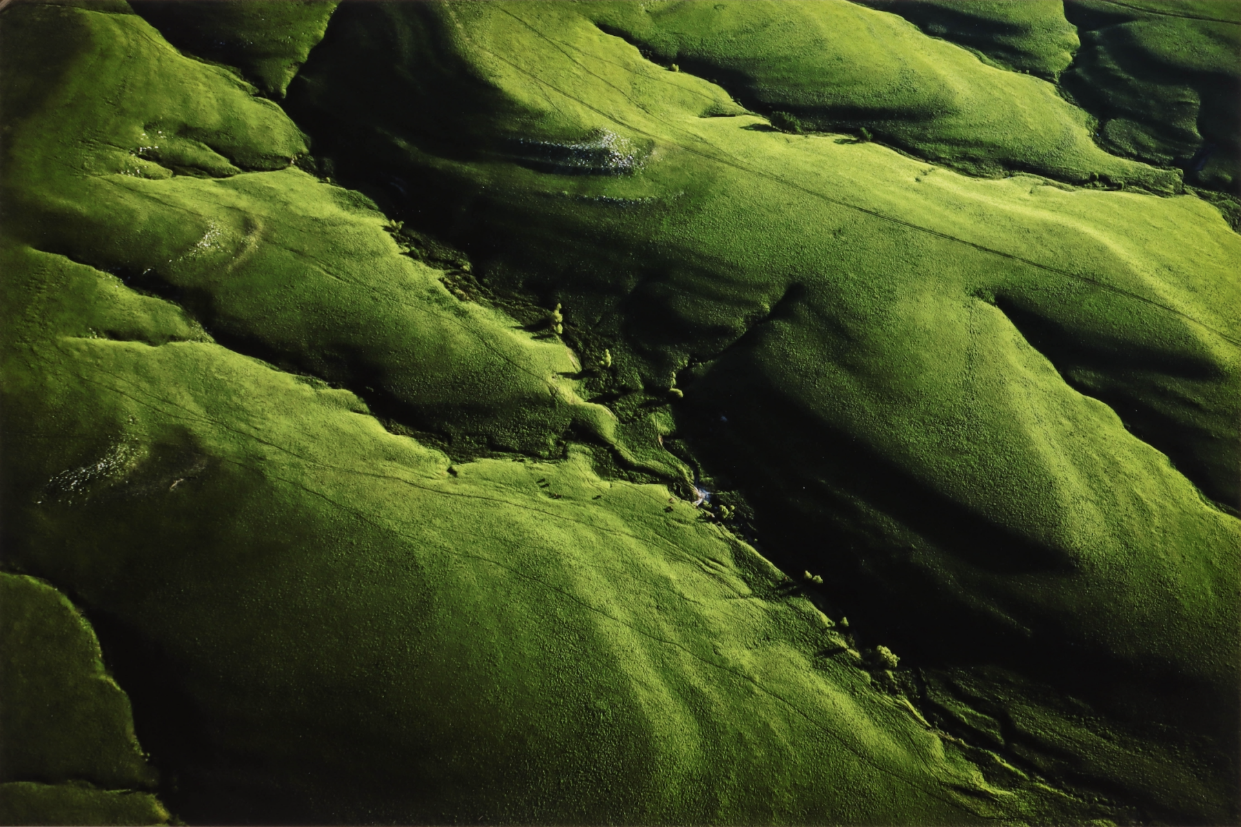 Aerial photography of green fields in USA by Jim Richardson