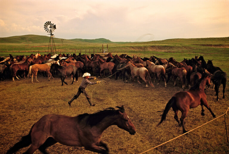 Photography by Jim Richardson. A cowboy roping horses in Nebraska, USA