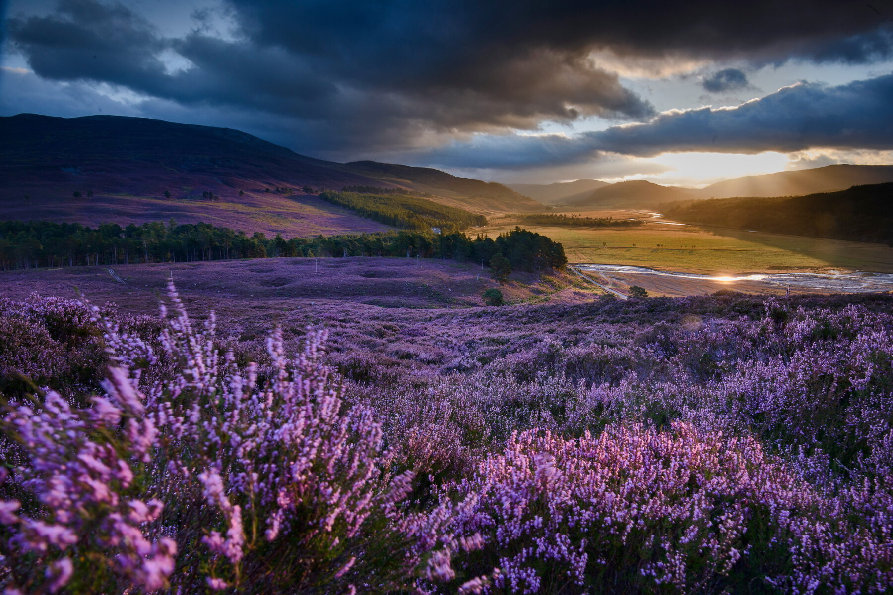 Photography by Jim Richardson. Heather and mountains in Scotland