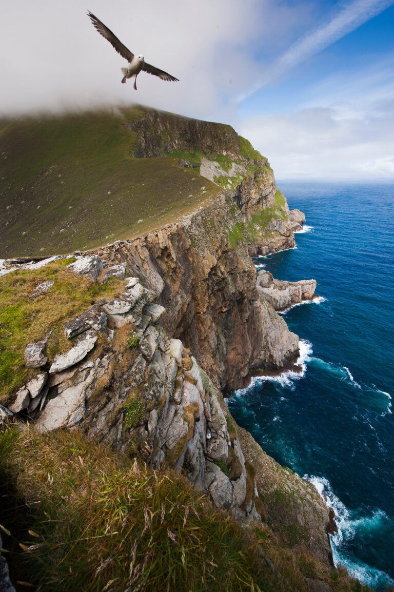 Aerial Landscape photography by Jim Richardson. Seabirds and coastal cliffs Scotland