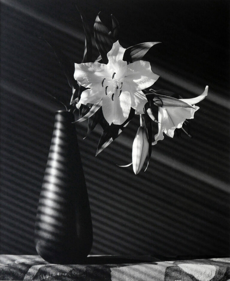 Black & white photo of white flowers in a vase