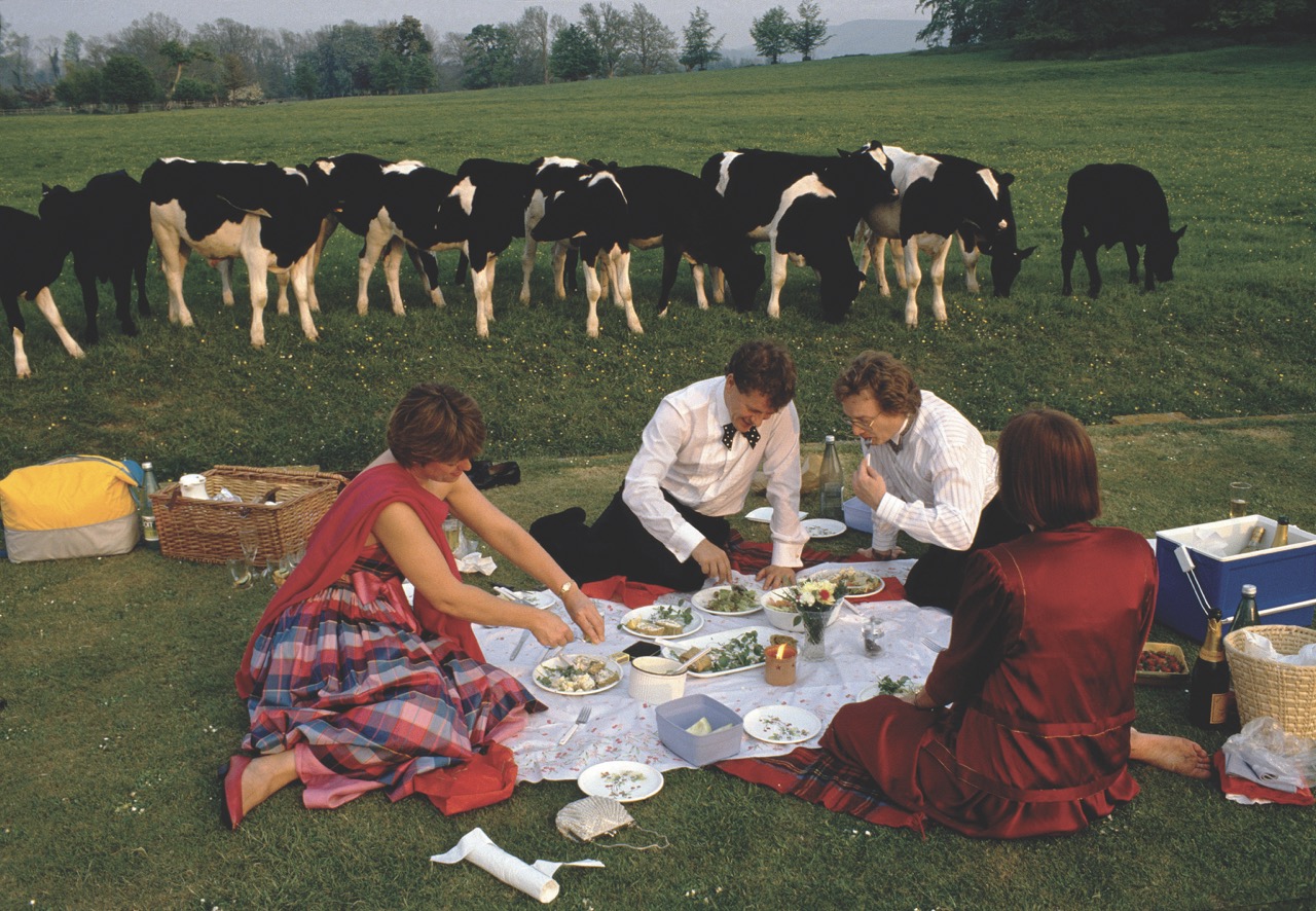 Photo of people having a picnic in a field full of cows by Chris Steele Perkins