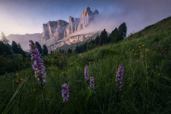 color landscape photo of Dolomites, Italy by Mattia Chersicola