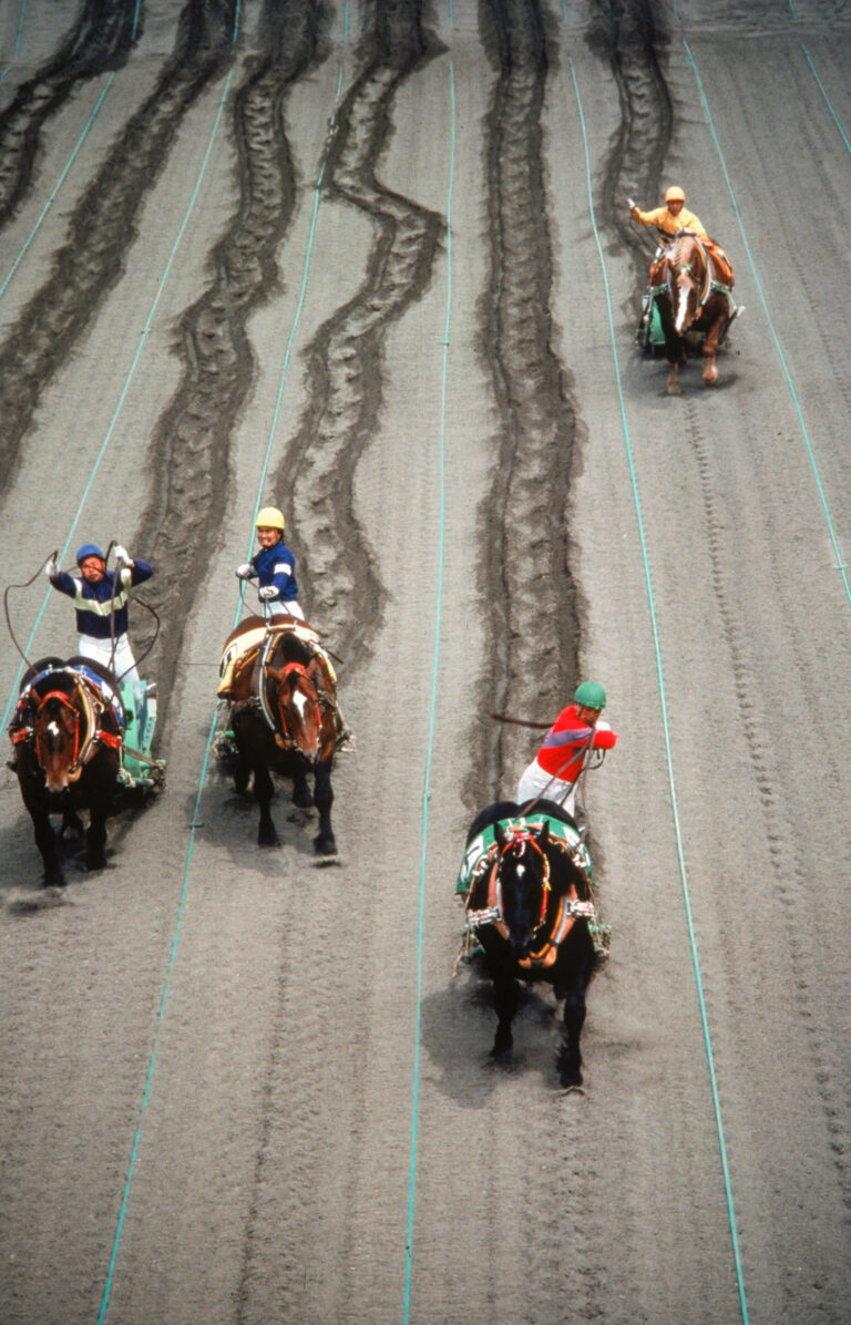 Photography by Michael Yamashita. Draft horse racing in Hokkaido, Japan