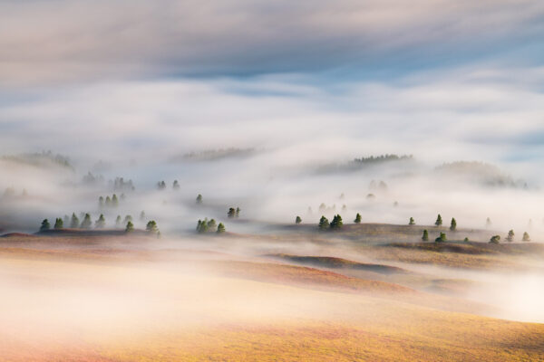 color landscape photo of forest and hills in Cairngorm, Scotland by Ed Smith