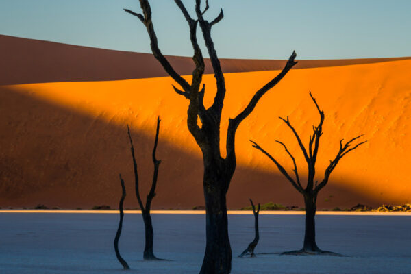 color landscape photo of Deadvlei, Namibia by Barry Crosthwaite