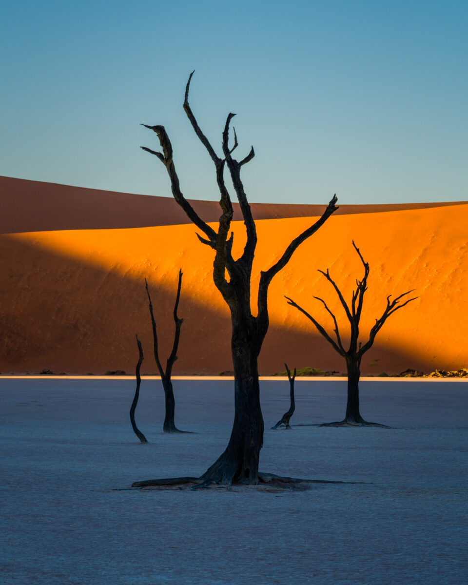 color landscape photo of Deadvlei, Namibia by Barry Crosthwaite