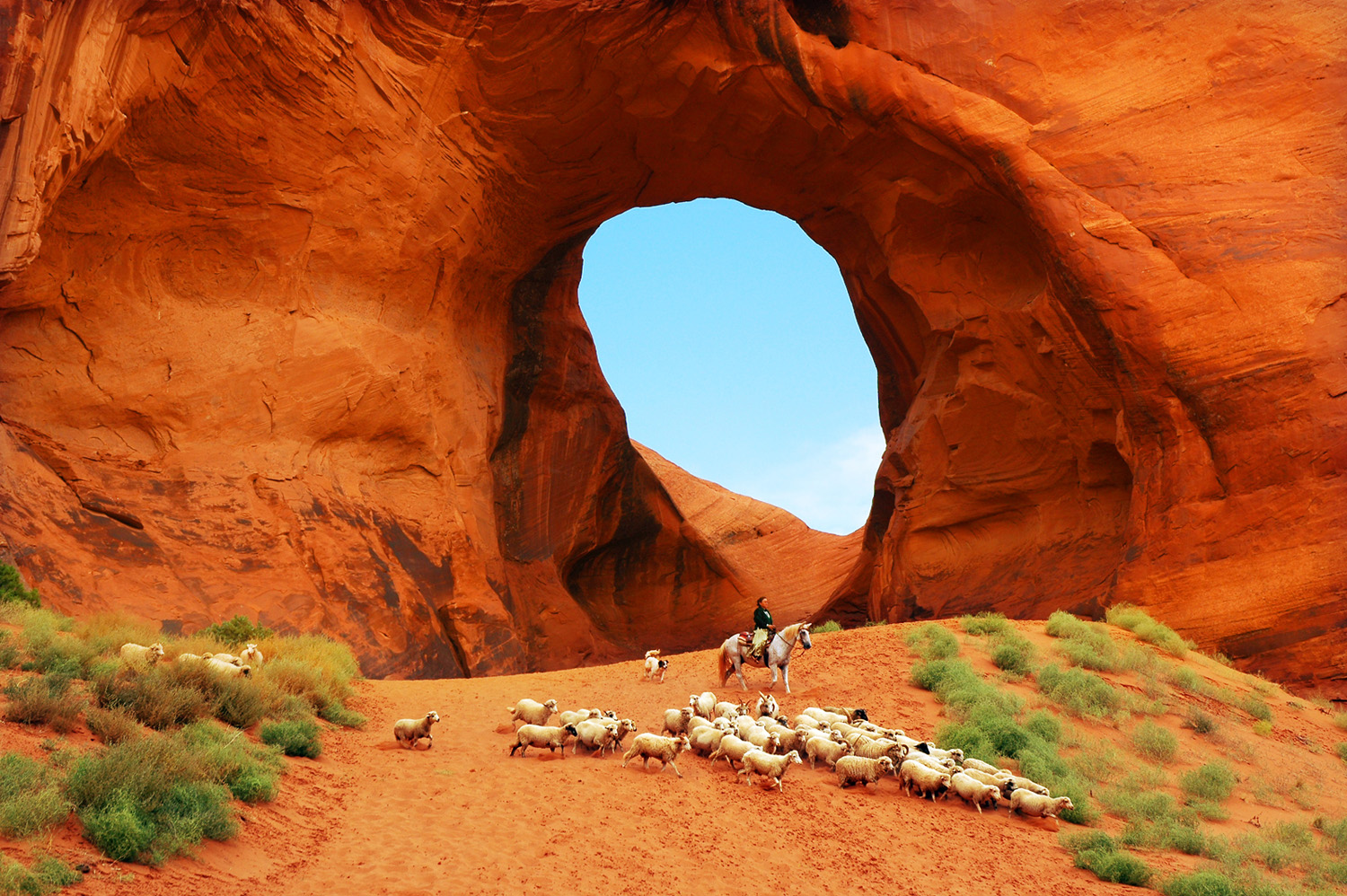 color landscape photo of cattle driver in Monument Valley, USA by Hal Tretbar