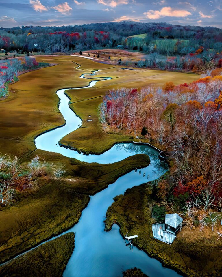 Aerial Landscape photography by Joanna Steidle. A river surrounded by grass and trees in Long Island, NY, USA