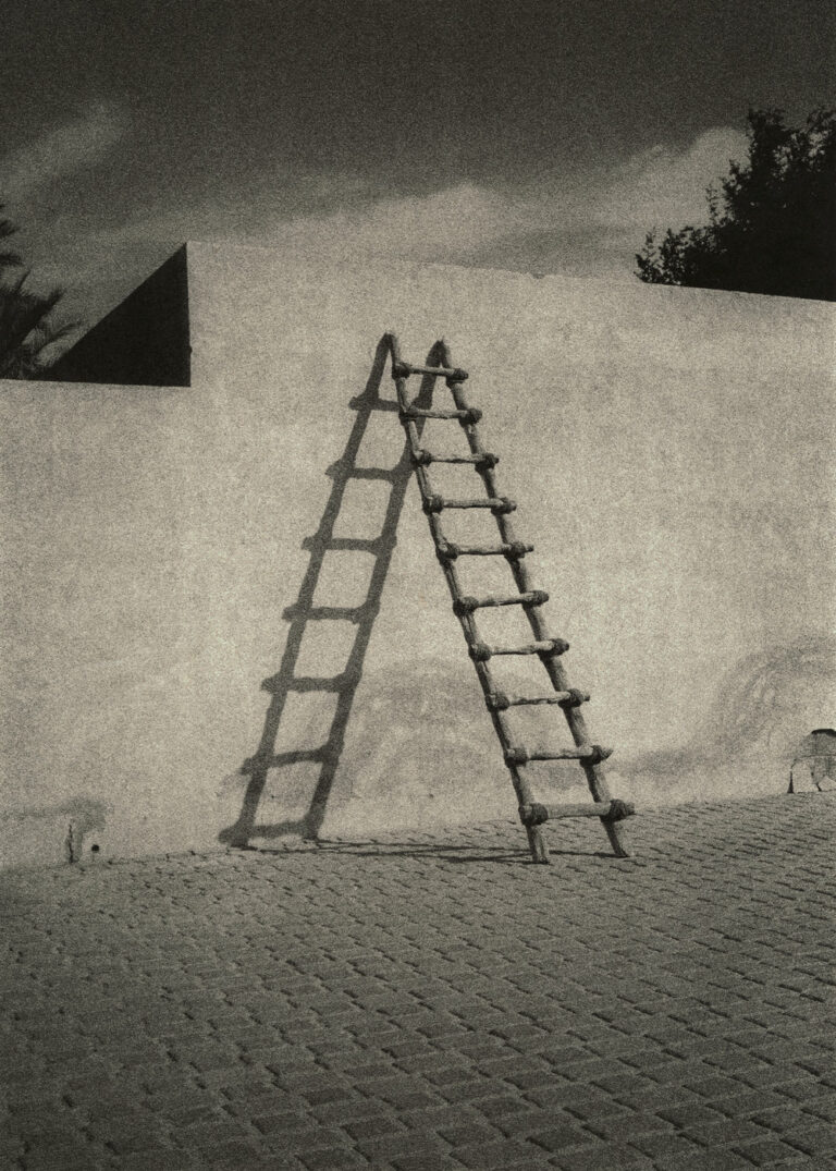 Black & white photography by Dominic Turner. Ladder against wall