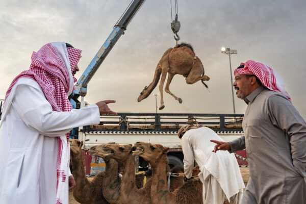 color photo of men arguing over camel sale at buraidha market in Saudi Arabia by France Leclerc